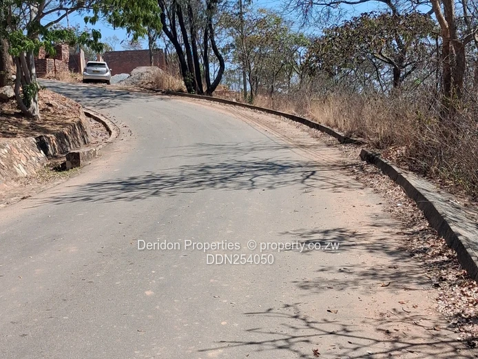 1ha Umwinsidale Stand — Level, Tree-Lined & Accessible