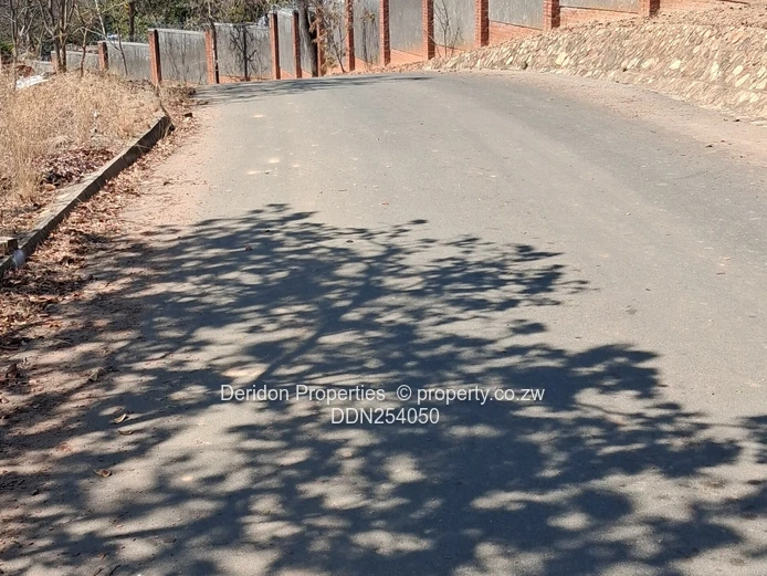 1ha Umwinsidale Stand — Level, Tree-Lined & Accessible
