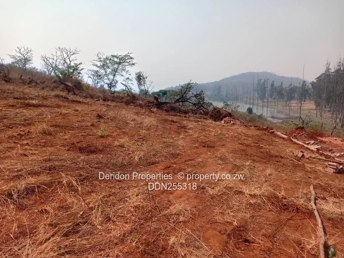 Shawasha Hills Cluster stands from 2000 sqm to one hectare