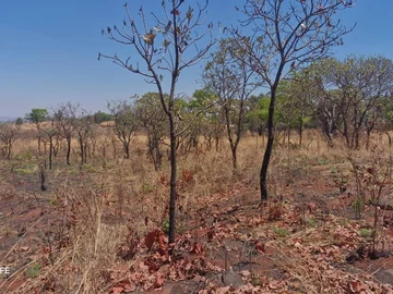 Farm & Agricultural Land