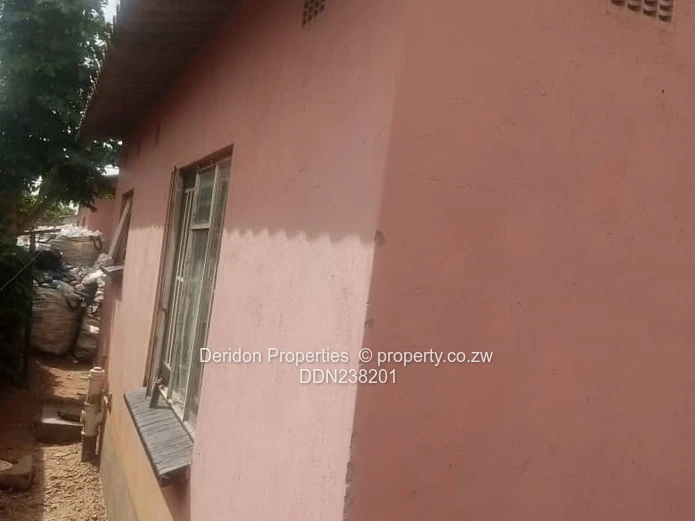 Investor s delight  (Sole Mandate)