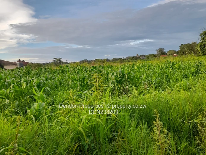 Build your dream home  (Sole Mandate)