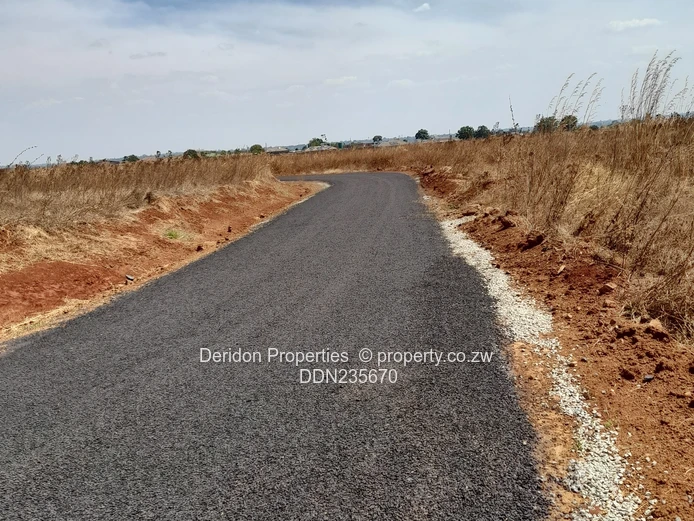 Build your dream home  (Sole Mandate)