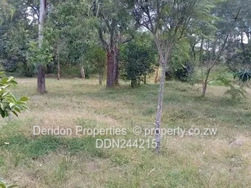 Ballantyne stand for sale 