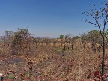 Farm & Agricultural Land