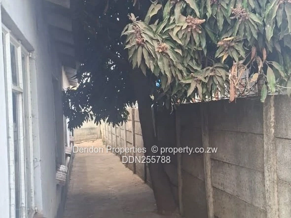 Cozy 3-Bed Home in Budiriro 1