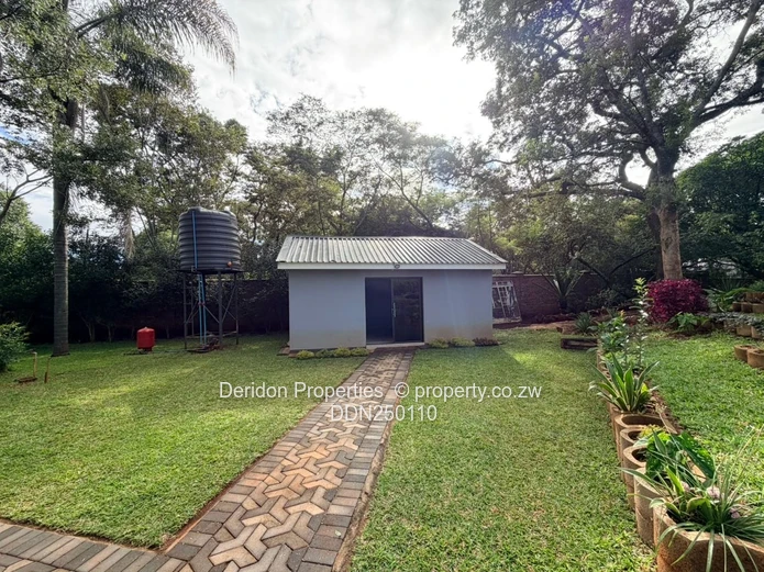 Modern 6-Bed Rolf Valley Home — Pool & Borehole