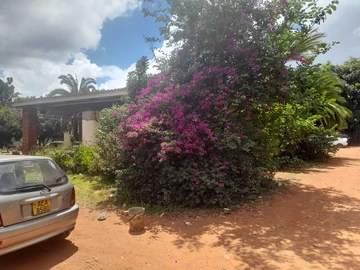 4 Bedroom Townhouse Complex