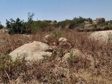 Commercial & Industrial Land