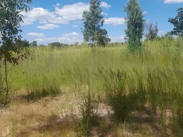 Stands & Residential Land