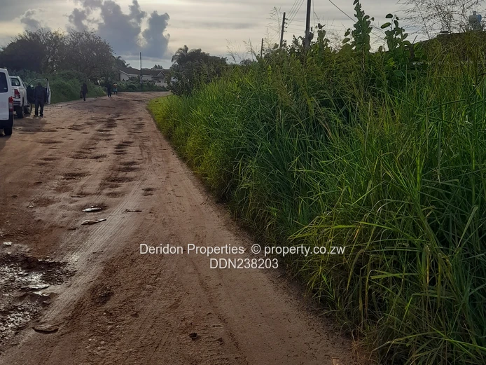 Build your dream home  (Sole Mandate)