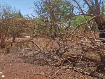 Farm & Agricultural Land