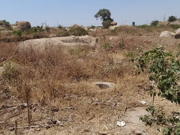 Commercial & Industrial Land