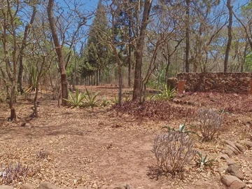 Farm & Agricultural Land