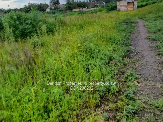 Vacant land (Sole Mandate)