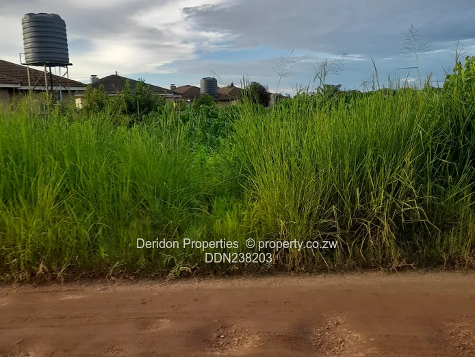 Build your dream home  (Sole Mandate)