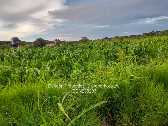 Build your dream home  (Sole Mandate)