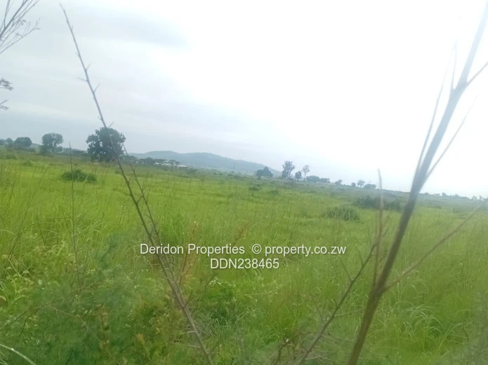 Industrial hub or New Residential Housing  (Sole Mandate)