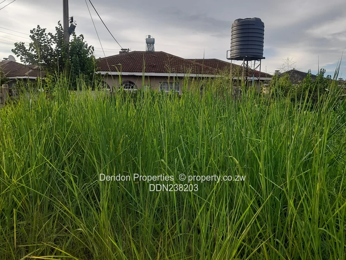 Build your dream home  (Sole Mandate)