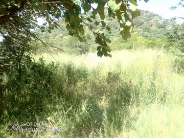 Farm & Agricultural Land