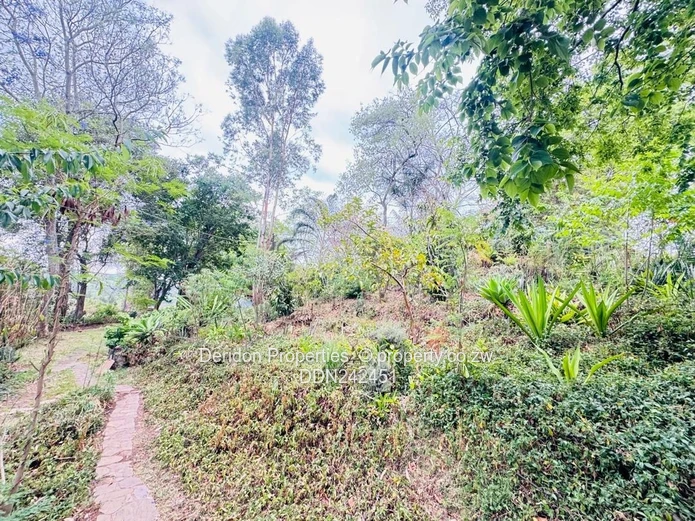 Glen?Lorne Family Estate – Your Private Retreat!