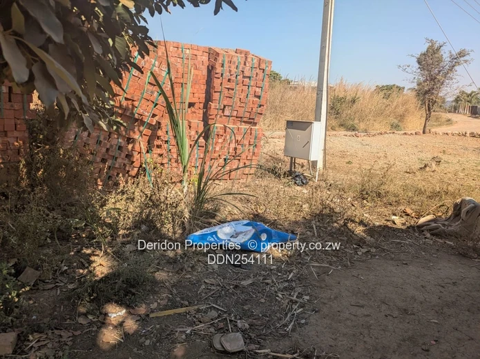 Leafy 4000 m² Residential Stand — Borrowdale, Harare North