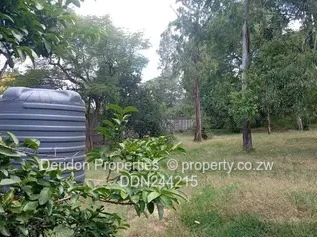 Ballantyne stand for sale 