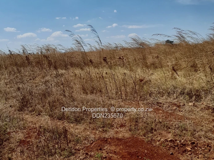 Build your dream home  (Sole Mandate)