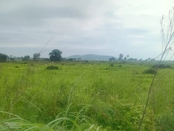 Commercial & Industrial Land