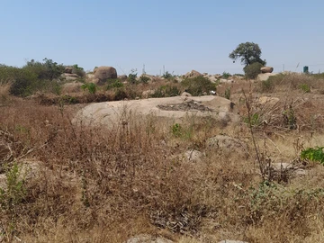 Commercial & Industrial Land