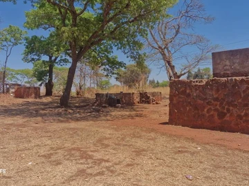 Farm & Agricultural Land