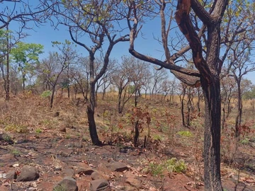 Farm & Agricultural Land