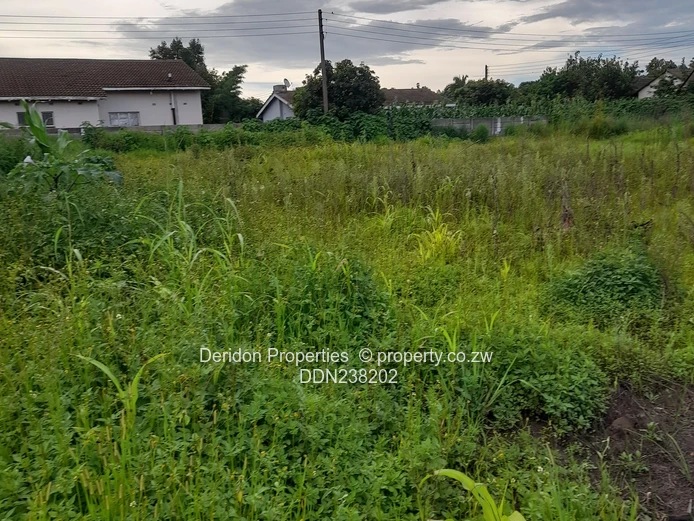 Vacant land (Sole Mandate)