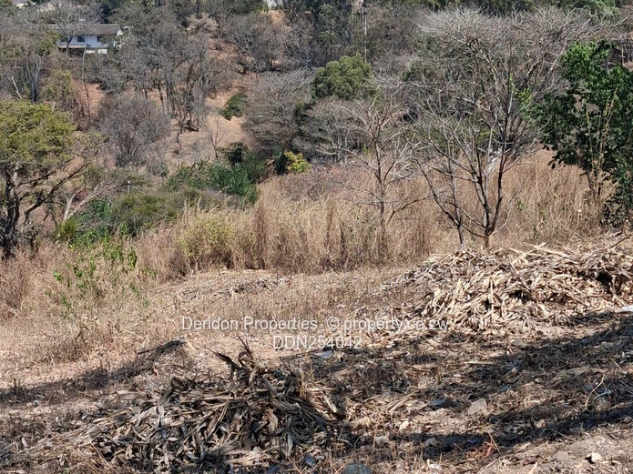Prime 13,500m² Residential Land in Helensvale, Harare
