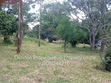 Ballantyne stand for sale 