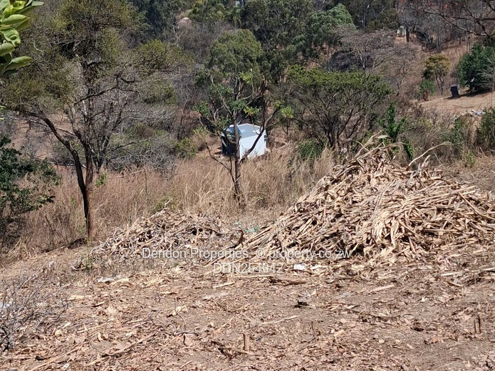 Prime 13,500m² Residential Land in Helensvale, Harare