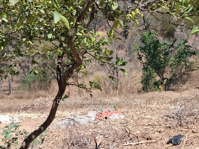 Prime 13,500m² Residential Land in Helensvale, Harare
