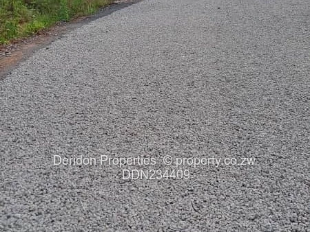 Build your dream home