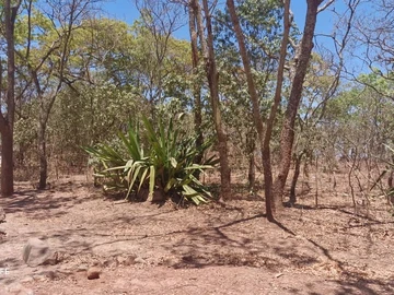 Farm & Agricultural Land