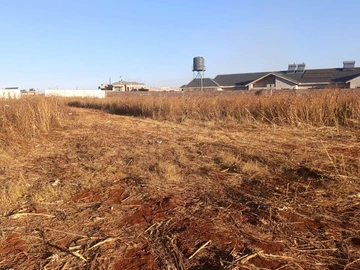 Stands & Residential Land