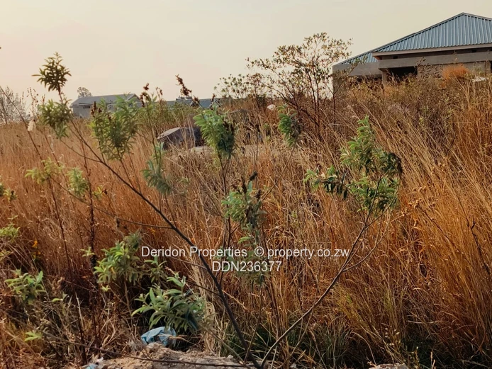 Build your dream home  (Sole Mandate)