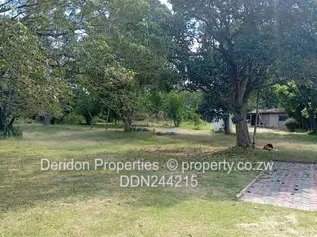 Ballantyne stand for sale 