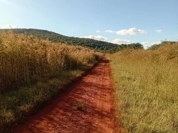 Farm & Agricultural Land