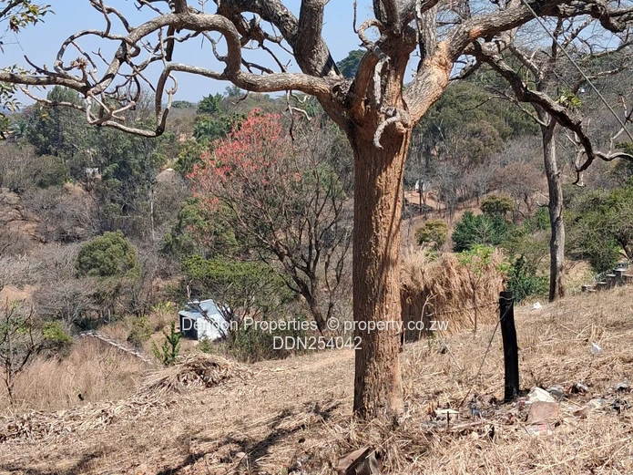 Prime 13,500m² Residential Land in Helensvale, Harare