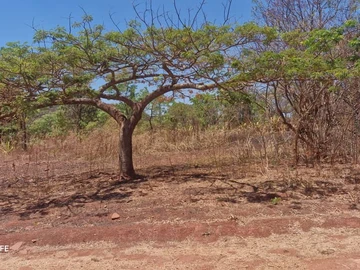 Farm & Agricultural Land