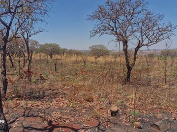 Farm & Agricultural Land