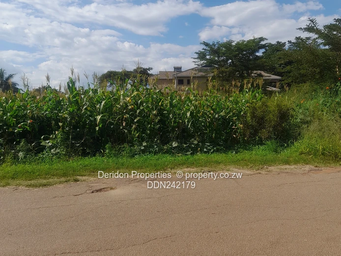 Build your dream home 