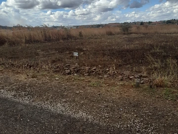 Stands & Residential Land