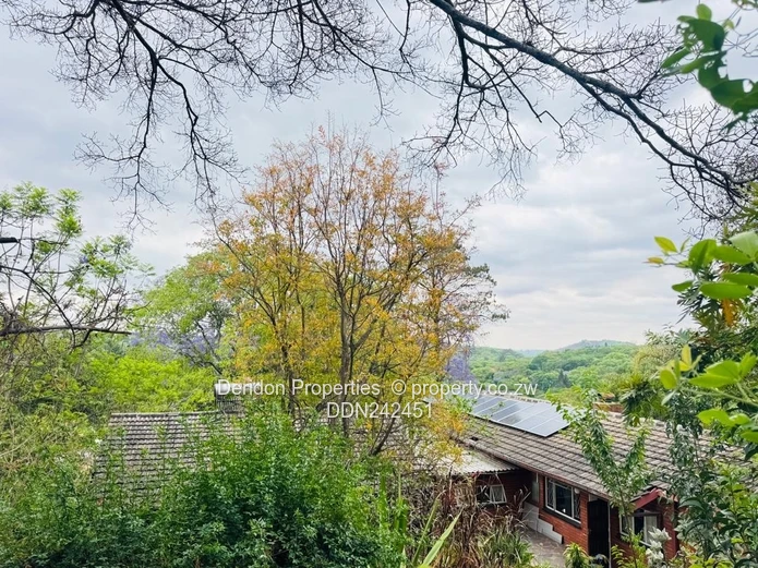 Glen?Lorne Family Estate – Your Private Retreat!