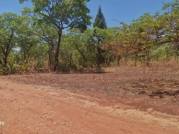 Farm & Agricultural Land